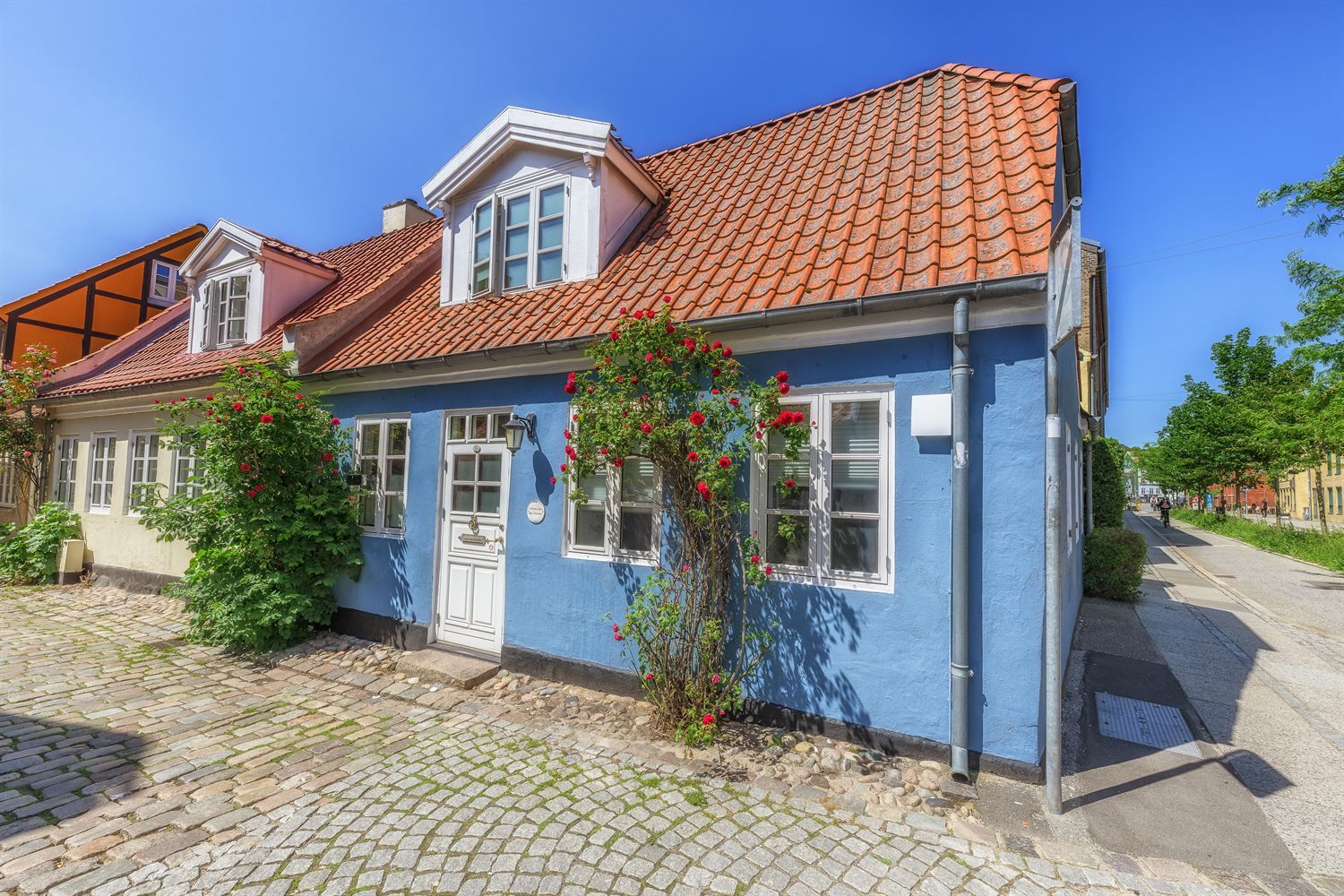 Fargerikt byhus med røde klatreroser langs en brosteinsgate i Ærøskøbing.